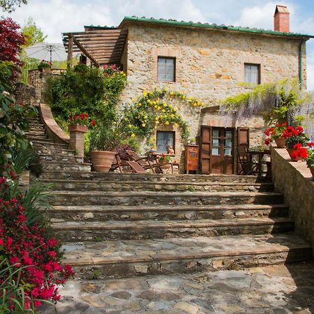 Podere Piandicava Castelnuovo di Val di Cecina Exteriér fotografie