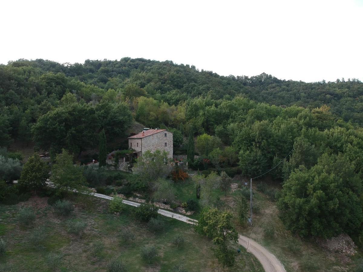 Podere Piandicava Castelnuovo di Val di Cecina Exteriér fotografie