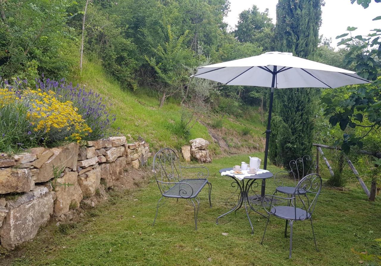 Podere Piandicava Castelnuovo di Val di Cecina Exteriér fotografie