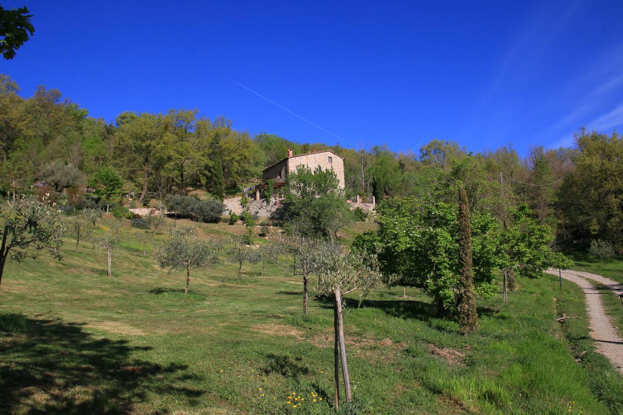 Podere Piandicava Castelnuovo di Val di Cecina Exteriér fotografie