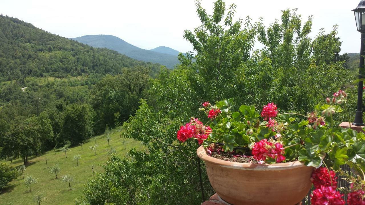 Podere Piandicava Castelnuovo di Val di Cecina Exteriér fotografie
